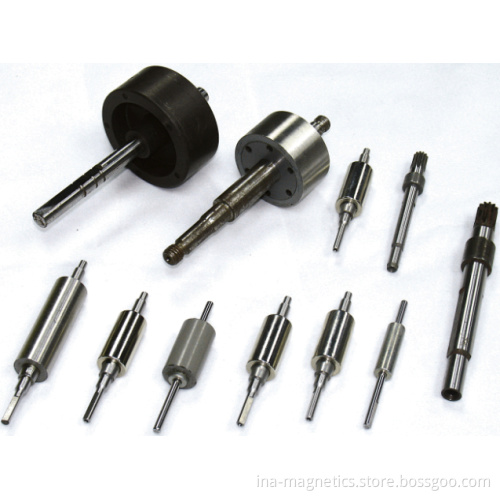 High Speed Magnet Rotors